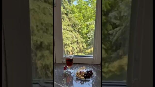 #62 ☀️ ЛЕТО У БАБУШКИ 2025 (ЧАСТЬ 1) из Москвы в Пятигорск ✈️ восхождение в гору, театр, прогулки смотреть онлайн