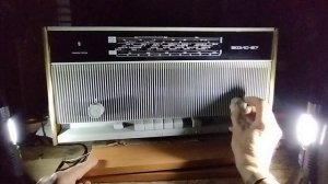 Вечерний эфир на радиоле "Эфир 67" из СССР : путешествие по радио волнам #oldradio