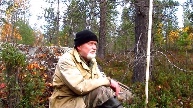 Разговор о разном в красивом лесу. смотреть онлайн