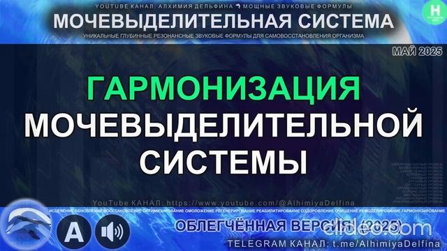 ОСТАНОВИ проблемы с Мочеиспусканием! Выведи Токсины Саблиминал для Здоровья Мочевой Системы смотреть онлайн