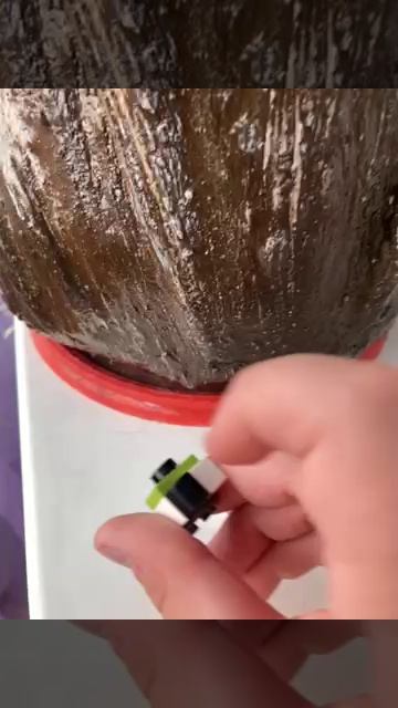 78065808741__1350682B-26D4-48E8-AB50-3CD699674AA6