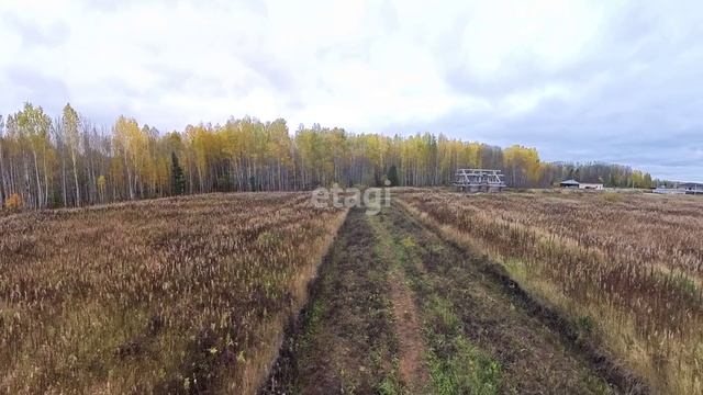 9940517 смотреть онлайн