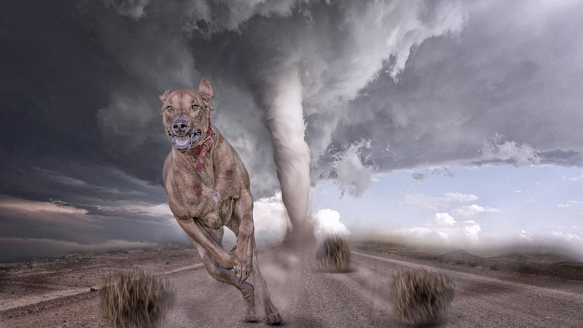 unleashed-before-the-creation-of-time смотреть онлайн