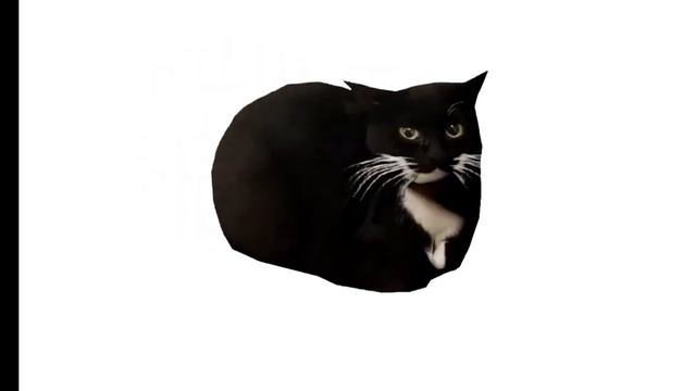 Максвелл танцует