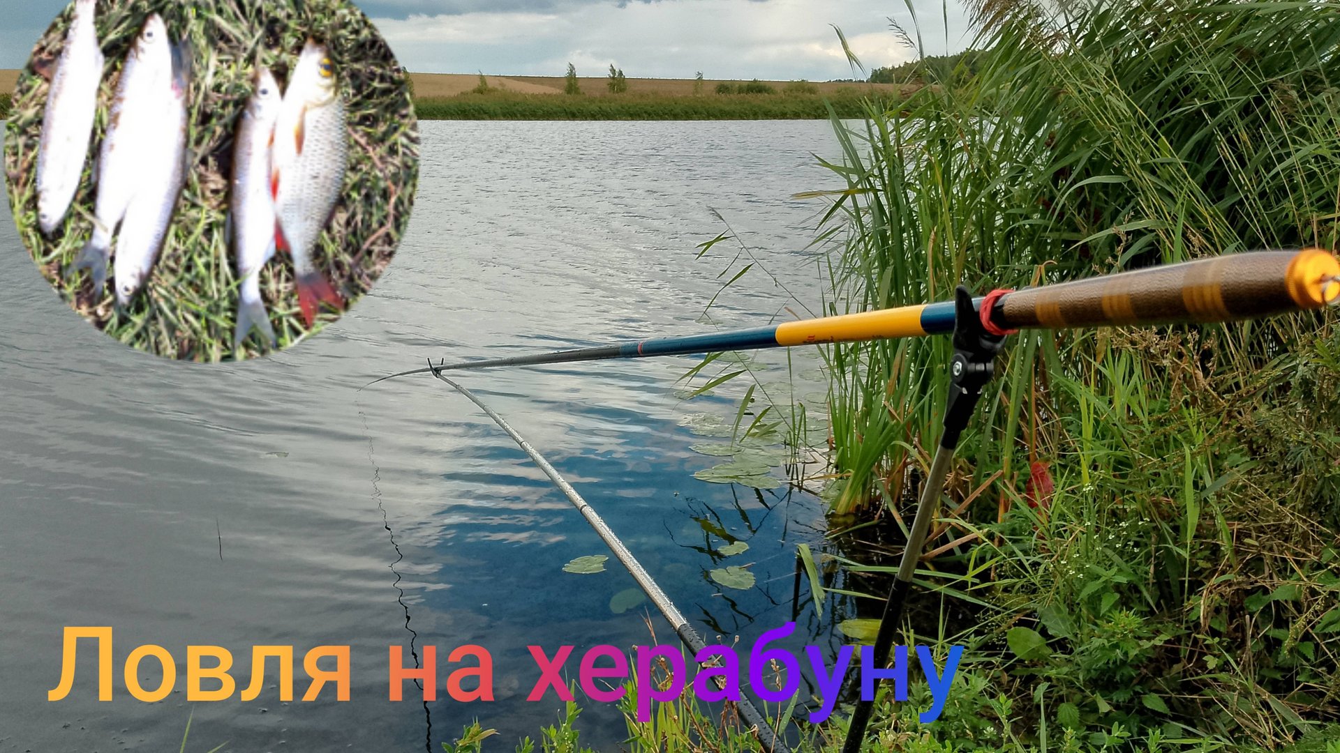 Ловля на ХЕРАБУНУ. РЫБАЛКА В СЕНТЯБРЕ. ДОЖДЬ НЕ ПОМЕХА.