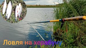 Ловля на ХЕРАБУНУ. РЫБАЛКА В СЕНТЯБРЕ. ДОЖДЬ НЕ ПОМЕХА.