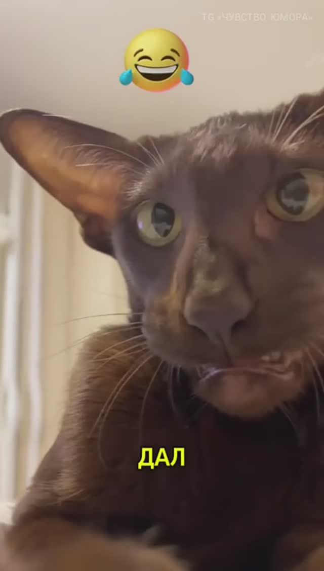 Утро после выходных смотреть онлайн