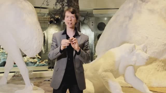 Тайна солнечного камня. Ярослав Попов. Палеонтологические истории смотреть онлайн