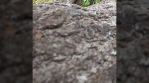 Серял ,,Измена,, 1 сезон 1 серия