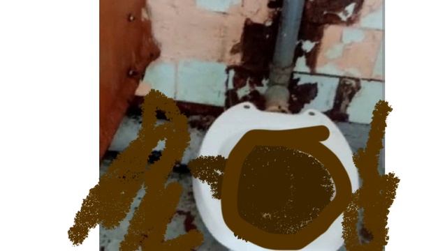 смешные видео и шутки смотреть онлайн
