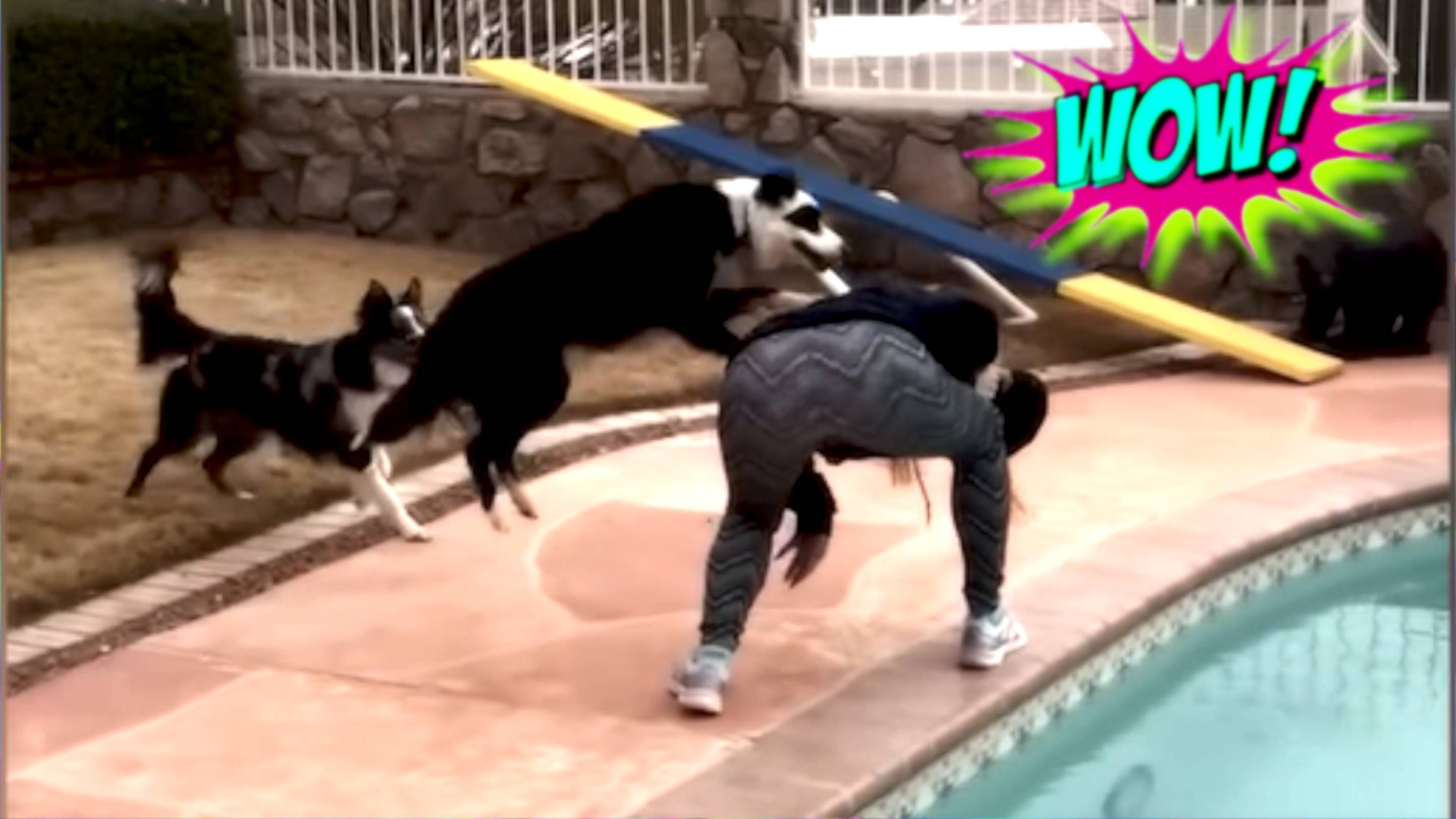 СМЕХ ДО СЛЕЗ: СМЕШНЫЕ ВИДЕО И ПРИКОЛЫ смотреть онлайн