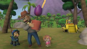 Щенячий Патруль|Щенячий Патруль: Спасательные Миссии в Бухте Приключений|Щенячий Патруль Смотреть