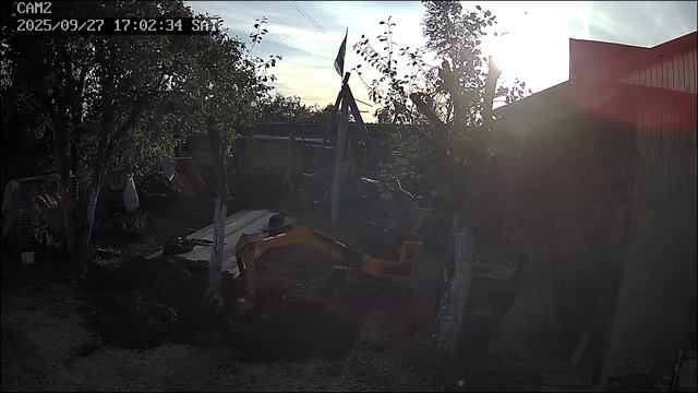 Риппа319 Rippa R319 2024 корчюем дерево огромное