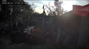 Риппа319 rippa r319 2024 корчюем дерево огромное