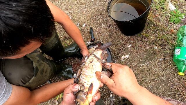 Күһүҥҥү кус 2025