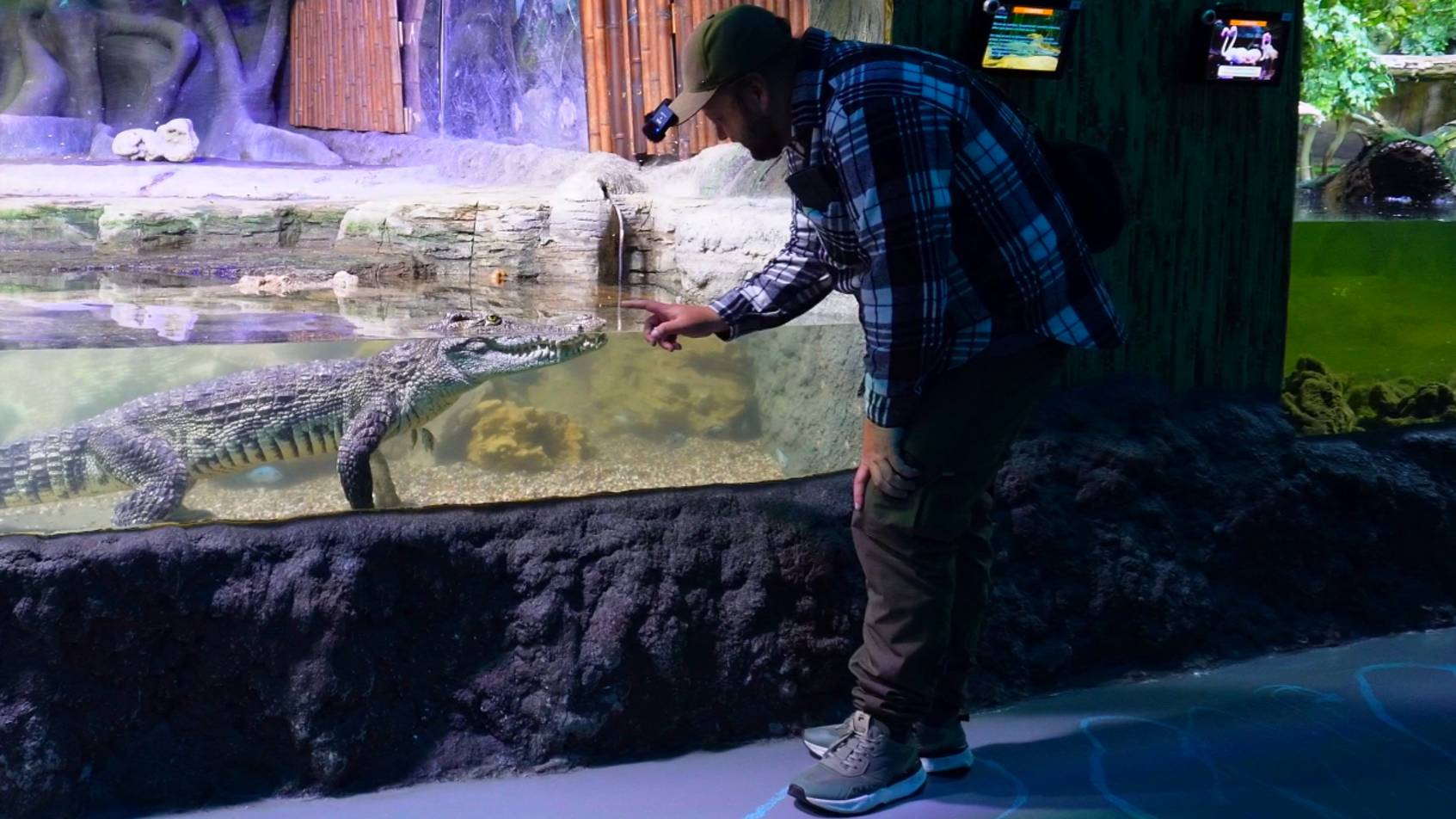 КРАСИВОЕ ВИДЕО О МОРСКИХ ОБИТАТЕЛЯХ И БРАТЬЯХ НАШИХ МЕНЬШИХ подвал ильича ДОБРОЕ ПУТЕШЕСТВИЕ Москва смотреть онлайн