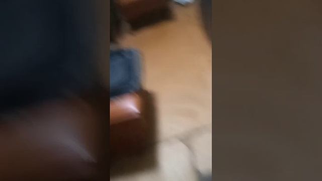 ну хз смотреть онлайн