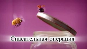 Мультик для детей и взрослых. Насекомые. Спасательная операция.