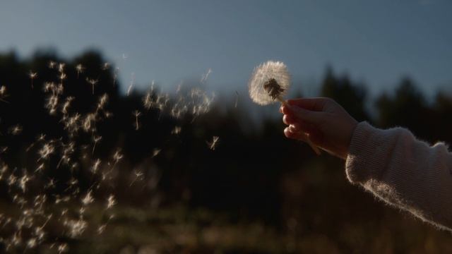 БЕСКОНЕЧНОСТЬ