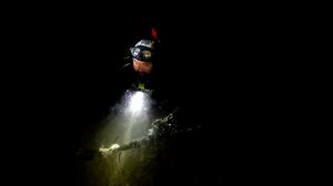 Таёжные приключения в "мертвый сезон". Хозяева тайги.