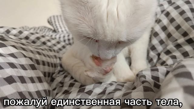 Снежинка делает маникюр