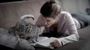Реклама Whiskas для котят 2012