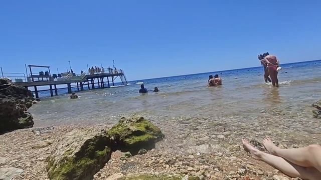#70 Порезал палец в первый день отдыха 😐 Как кормят? Какой пляж? Отзыв о отеле PICK ALBATROS Египет смотреть онлайн