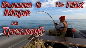 ВЫШЛИ В МОРЕ НА ПВХ ЗА ТРЕСКОЙ! РЫБАЛКА НА ТРЕСКУ В БАРЕНЦЕВОМ МОРЕ НА КОЛЬСКОМ ПОЛУОСТРОВЕ