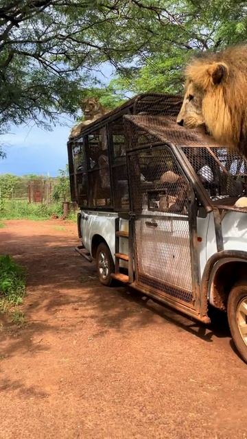 Семейное авто смотреть онлайн