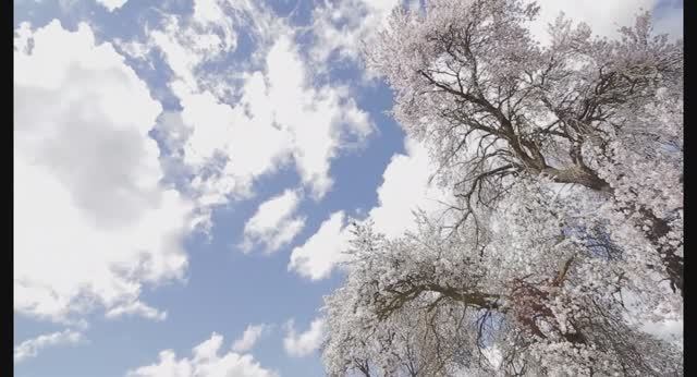 У природы нет плохой погоды (кавер) смотреть онлайн