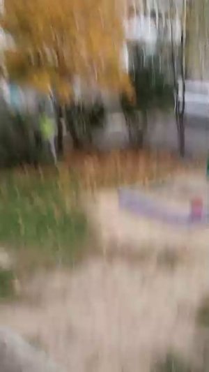 увидели квадроберов