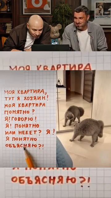 Разговор кота с хозяевами 🤣😱 смотреть онлайн
