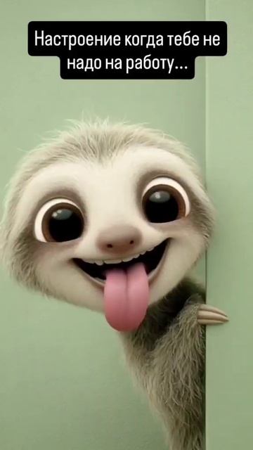 Всем прикольного денёчка!!! #хорошегодня #желаюудачи #всегохорошего #доброгодня #новаяжизнь смотреть онлайн