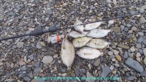 Рыбалка на Чёрном море весной. Ловля ласкиря. Тестируем спиннинг "Stilet"