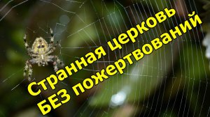 Странная церковь где НЕ собирают деньги