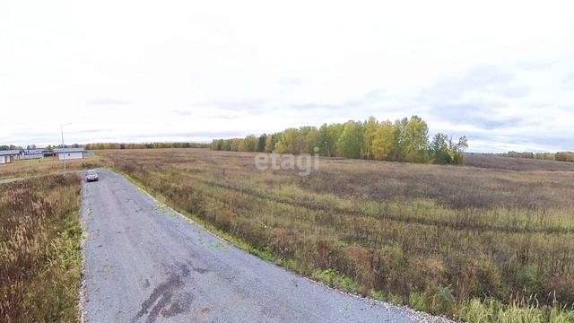 3966116 смотреть онлайн