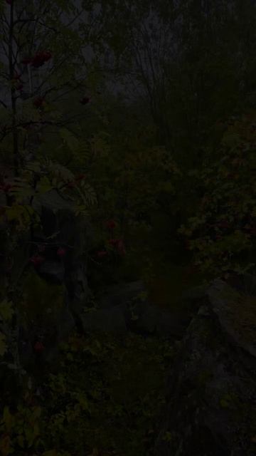 Карелия. Медвежьегорск. Гора Лысуха. Karelia. Medvezhyegorsk. Mount Lysukha смотреть онлайн