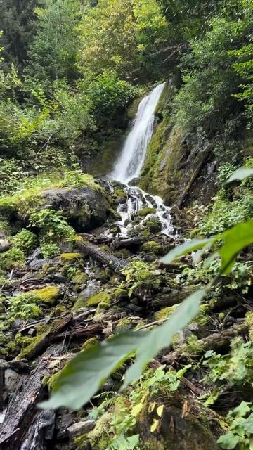 Абхазия, водопад Птичий сегодня (27 сентября, ОСЕНЬ-2025) смотреть онлайн