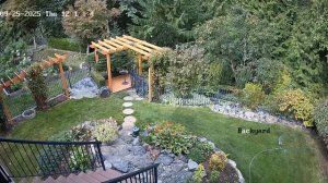 2025-09-25 медведь