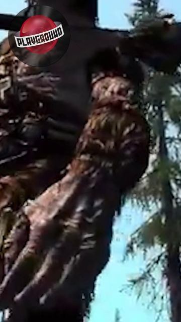 The Elder Scrolls 6 придется ждать еще два года #tes #tes6 смотреть онлайн