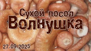 «Волнушка» (сухой посол). 27.09.2025