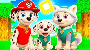 ЭВЕРЕСТ и МАРШАЛ РОДИЛИ РЕБЁНКА ЩЕНЯЧИЙ ПАТРУЛЬ в МАЙНКРАФТ PAW PATROL МУЛЬТИК