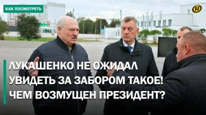 Лукашенко не сдержал эмоций: Не будет дисциплины – у тебя ничего не будет / Визит в Шкловский район
