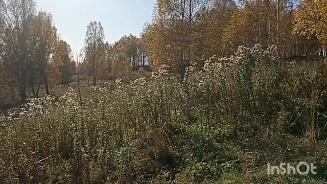 ЗУ на Менделеева 609