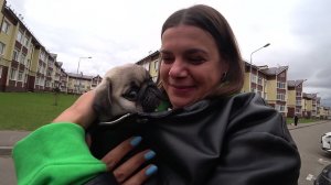 Подарили СОБАКУ