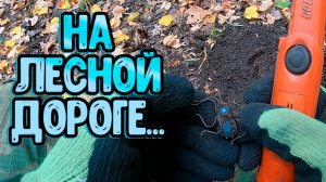 По лесной дороге с металлоискателем Дэус 2