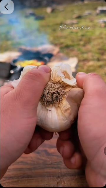 Стейк на костре #рек #кухня #еда #рекомендации #еда #готовимжар #яппи #рутуб смотреть онлайн