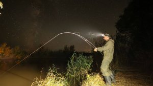 НАШЁЛ САЗАНЬЕ ЛОГОВО! КЛЁВ СУМАСШЕДШИЙ! Прекрасная звёздная ночь и прекрасная рыбалка в Астрахани.
