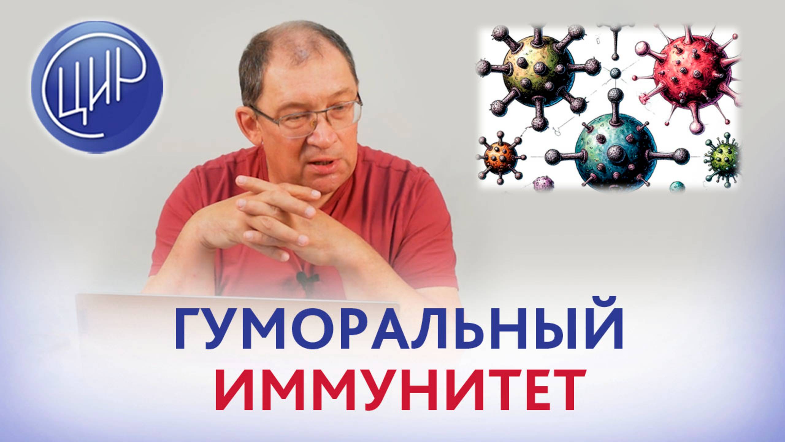 Гуморальный иммунитет: антитела и иммуноглобулины, классы иммуноглобулинов. И.И. Гузов. смотреть онлайн