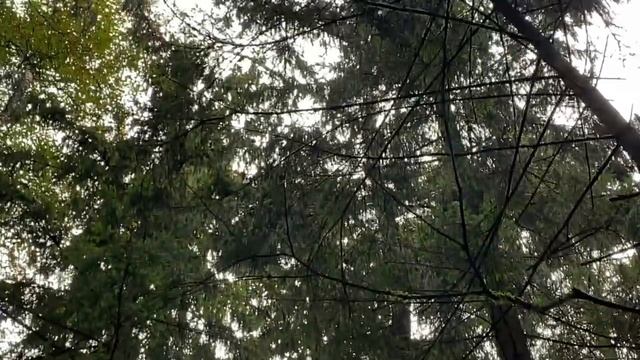 Натуральный допинг для мозга и тела! смотреть онлайн